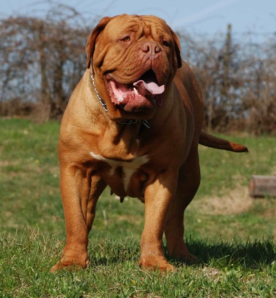 2 anni e mezzo